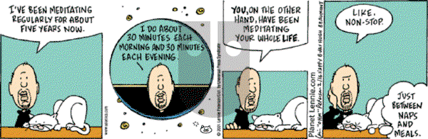 The Big Picture - Friday August 12, 2022 Comic Strip