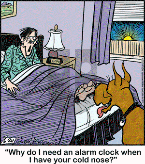 Marmaduke on Saturday June 24, 2017 Comic Strip