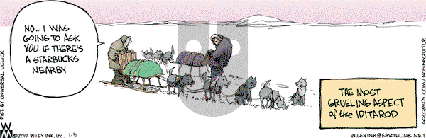 Non Sequitur - Tuesday January 3, 2017 Comic Strip