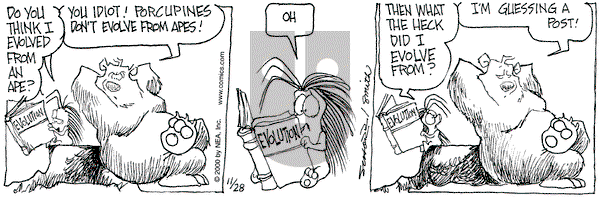 The Grizzwells on Tuesday November 28, 2000 Comic Strip