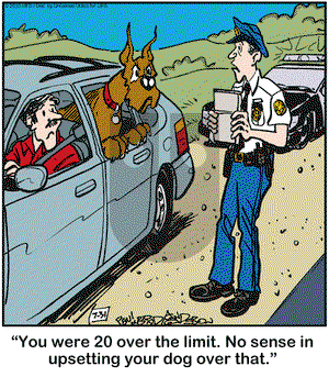 Marmaduke on Wednesday July 31, 2013 Comic Strip