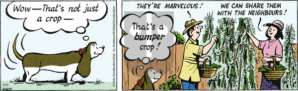 Fred Basset on Tuesday August 25, 2020 Comic Strip