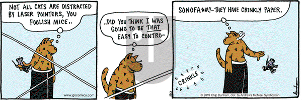 Overboard on Wednesday February 13, 2019 Comic Strip