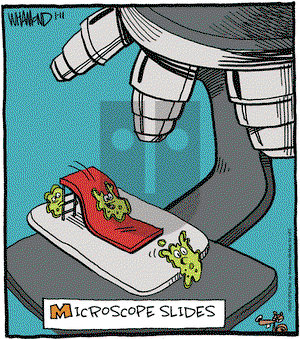 Reality Check - Saturday January 11, 2025 Comic Strip