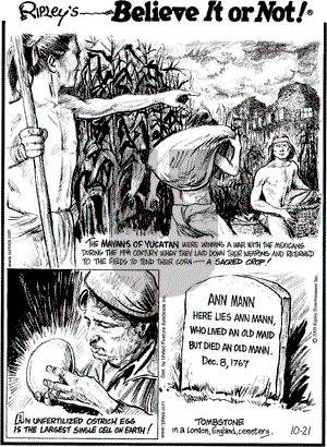 Ripley's Believe It or Not on Friday October 21, 2005 Comic Strip