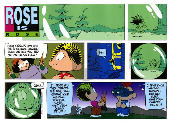 Rose is Rose - Sunday May 24, 1998 Comic Strip