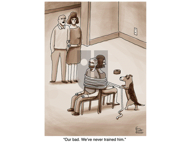 1 and Done - Friday November 6, 2020 Comic Strip