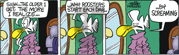 Mother Goose and Grimm on Tuesday July 22, 2025 Comic Strip