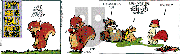 Over the Hedge on Friday June 14, 2013 Comic Strip