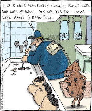 The Argyle Sweater on Wednesday April 1, 2009 Comic Strip