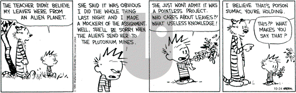 Calvin and Hobbes on Saturday October 24, 2015 Comic Strip