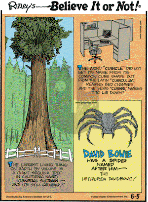 Ripley's Believe It or Not on Friday June 5, 2020 Comic Strip