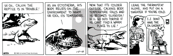 Calvin and Hobbes on Monday October 16, 1989 Comic Strip
