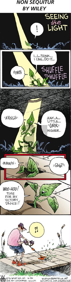 Non Sequitur - Sunday June 26, 2016 Comic Strip
