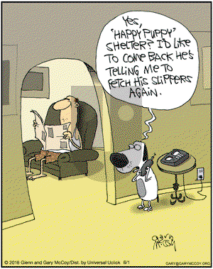 The Flying McCoys on Wednesday June 1, 2016 Comic Strip