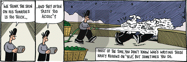 Overboard on Saturday July 18, 2015 Comic Strip