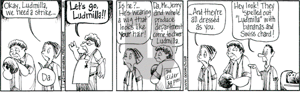 The Elderberries - Friday February 15, 2008 Comic Strip