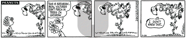 Peanuts on Saturday July 26, 1969 Comic Strip