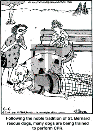 Close to Home on Saturday June 6, 2009 Comic Strip