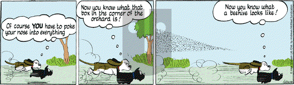 Fred Basset on 2025-07-01 Comic Strip