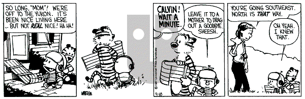 Calvin and Hobbes - Friday September 18, 1987 Comic Strip