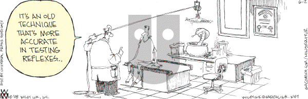 Non Sequitur - Monday June 2, 2008 Comic Strip
