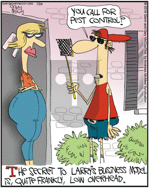 The Flying McCoys on Wednesday July 24, 2019 Comic Strip