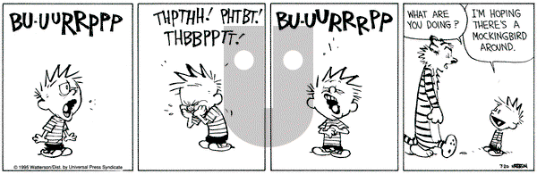 Calvin and Hobbes on Thursday July 20, 1995 Comic Strip