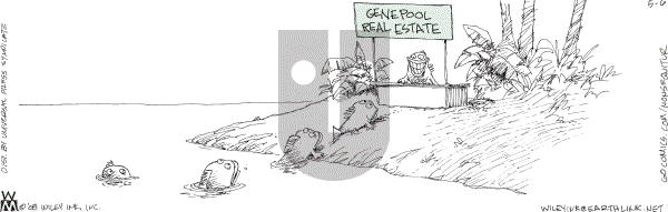 Non Sequitur - Tuesday May 6, 2008 Comic Strip