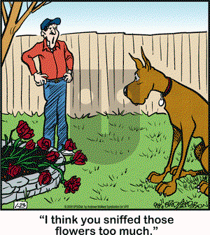 Marmaduke on Thursday January 23, 2020 Comic Strip