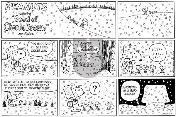 Peanuts on Sunday December 10, 1978 Comic Strip