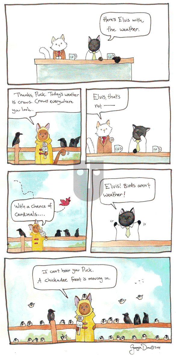 Breaking Cat News on Thursday January 15, 2015 Comic Strip