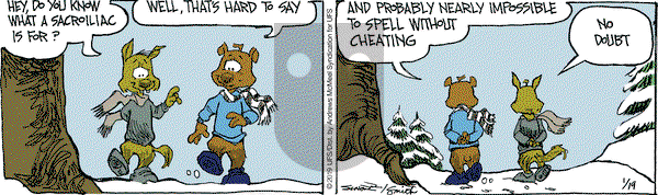 The Grizzwells on Saturday January 19, 2019 Comic Strip