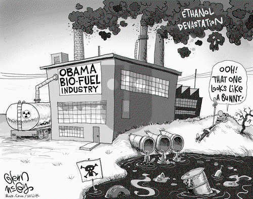 Glenn McCoy on Wednesday November 13, 2013 Comic Strip