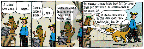 Overboard on Saturday January 16, 2010 Comic Strip