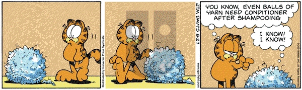 Garfield on Friday August 27, 2004 Comic Strip