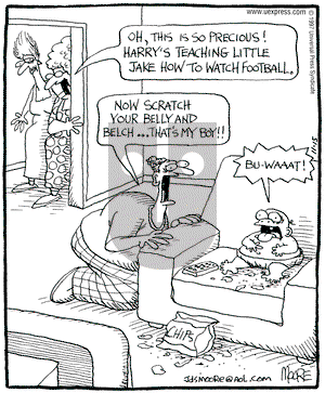 In the Bleachers on Saturday November 15, 1997 Comic Strip