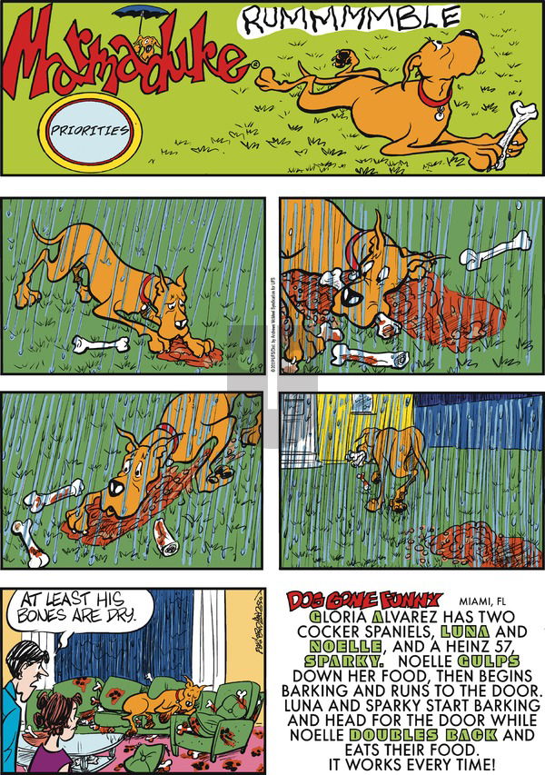 Marmaduke on Sunday June 9, 2019 Comic Strip