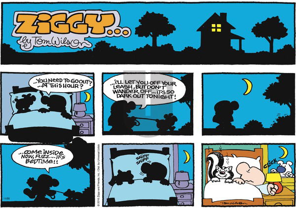 Ziggy on Sunday November 20, 2016 Comic Strip