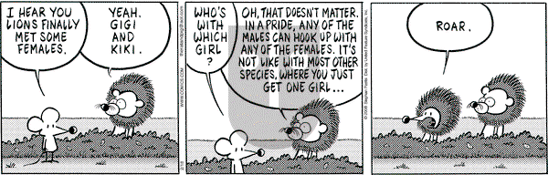 Pearls Before Swine - Monday February 18, 2008 Comic Strip
