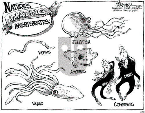 Stuart Carlson on Thursday July 19, 2007 Comic Strip