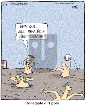 In the Bleachers - Tuesday March 14, 2006 Comic Strip
