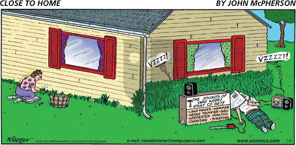 Close to Home on Sunday May 6, 2007 Comic Strip