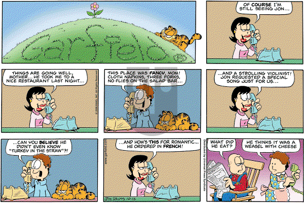 Garfield on Sunday October 12, 2008 Comic Strip