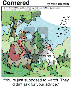 Cornered on Friday August 18, 2017 Comic Strip