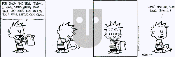 Calvin and Hobbes - Wednesday December 6, 1989 Comic Strip
