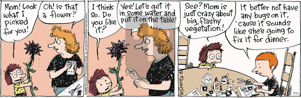 Cul de Sac on Tuesday July 11, 2017 Comic Strip