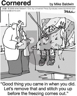 Cornered on Wednesday February 22, 2006 Comic Strip