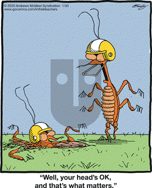 In the Bleachers on Thursday January 30, 2020 Comic Strip