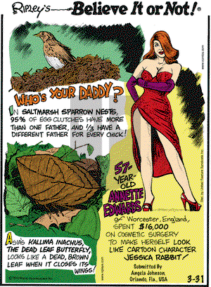 Ripley's Believe It or Not on Wednesday March 31, 2010 Comic Strip